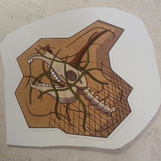 Eenhoorn schedel strand sticker