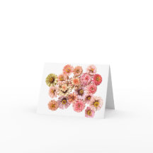 Eenhoorn Zinnias kaart