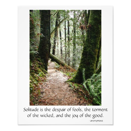 Eenitude Quote Trees Redwood Hiking Trail Poster (Voorkant)