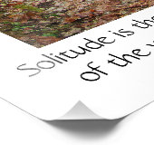 Eenitude Quote Trees Redwood Hiking Trail Poster (Hoek)