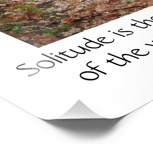 Eenitude Quote Trees Redwood Hiking Trail Poster (Hoek)