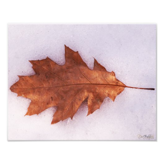 Eenitudenfoto Foto Afdruk (Voorkant)