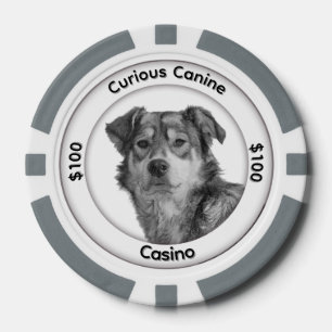 Eenkleurige gemengde rashond Drie tekstgebieden Poker Chips