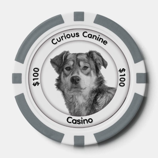 Eenkleurige gemengde rashond Drie tekstgebieden Poker Chips (Voorkant)