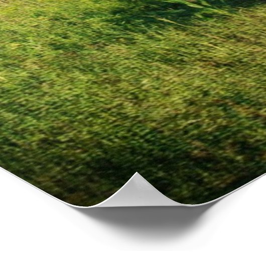 Eenmaal een Barn Poster (Hoek)