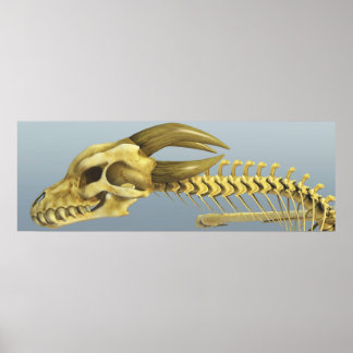 Eenmaal een draak poster