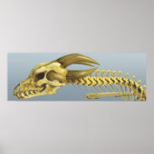 Eenmaal een draak poster (Voorkant)