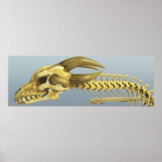 Eenmaal een draak poster (Voorkant)