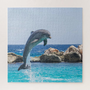 Eénmalige dolfijnprop legpuzzel