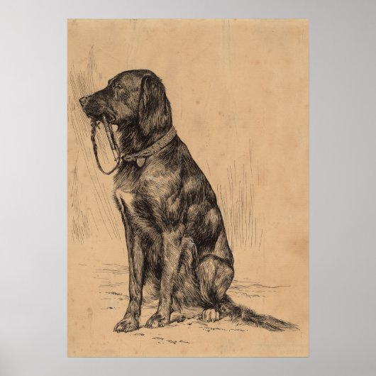 Eenmalige hond, met eigen Vintage Pen Inkt Poster (Voorkant)