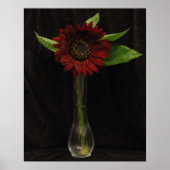 Eénmalige Rode Zonnebloem Poster (Voorkant)