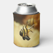 Eenmansband Blikjeskoeler (Blikje Achterkant)