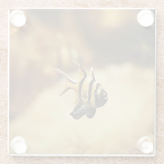 Eenmansband Glazen Onderzetter (Achterkant)