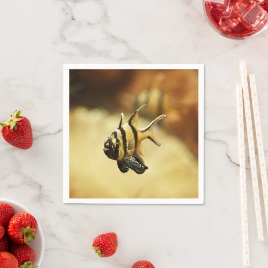 Eenmansband Servet (Insitu)