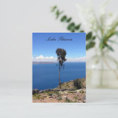 eenmansboom briefkaart (Staand voorkant)