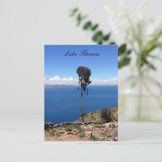 eenmansboom briefkaart (Staand voorkant)