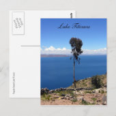 eenmansboom briefkaart (Voorkant / Achterkant)