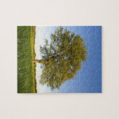 Eenmansboom in hooiveld op het Boerderij van Raymo Legpuzzel (Horizontaal)