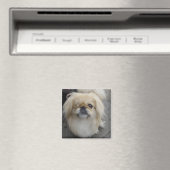 eenogige hond magneet (Insitu (Vaatwasser))