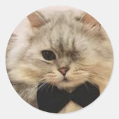 eenogige kat ronde sticker (Voorkant)