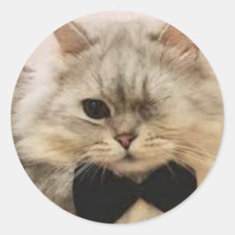 eenogige kat ronde sticker