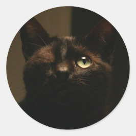Eenogige kat- Tom Sawyer Ronde Sticker