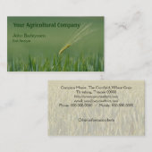 Eenoor gerst in een veld visitekaartje (Voorkant / Achterkant)