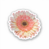 Eenroze kiezelbloem sticker (Voorkant)