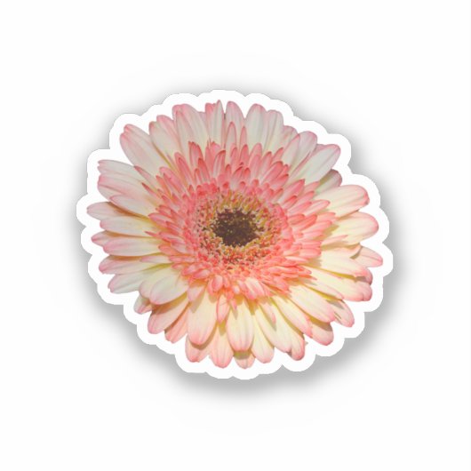Eenroze kiezelbloem sticker (Voorkant)