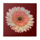 Eenroze kiezelbloem tegeltje (Voorkant)