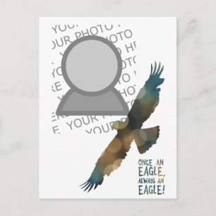 eens een adelaar altijd een adellijke foto briefkaart