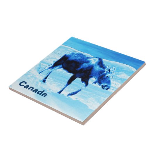 Eens In Een Blauwe Eland Tegeltje (Zijkant)