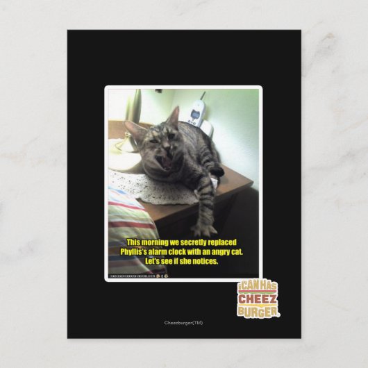 Eens kijken of ze het merkt. briefkaart (Voorkant)