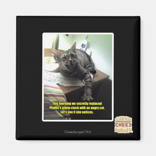 Eens kijken of ze het merkt. magneet (Voorkant)