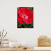 eentonige sleutelbloem poster (Keuken)