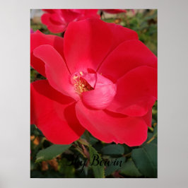 eentonige sleutelbloem poster