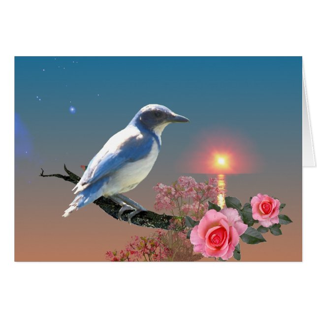 Eenvoud (Voorkant Horizontaal)