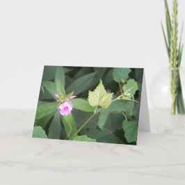 Eenvoud is het Ultimate Sophistication Quote Kaart