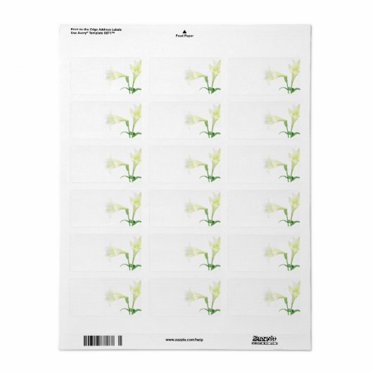 Eenvoud l Elegante Witte Lelie Bruiloft of Algemee Etiket (Full Sheet)