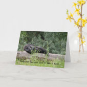 Eenvoudig 2 kaart (Gele Bloem)