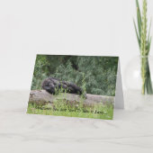 Eenvoudig 2 kaart (Voorkant)