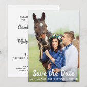 Eenvoudig aangepast fotoweddenschap Pet Pet Save The Date (Voorkant / Achterkant)