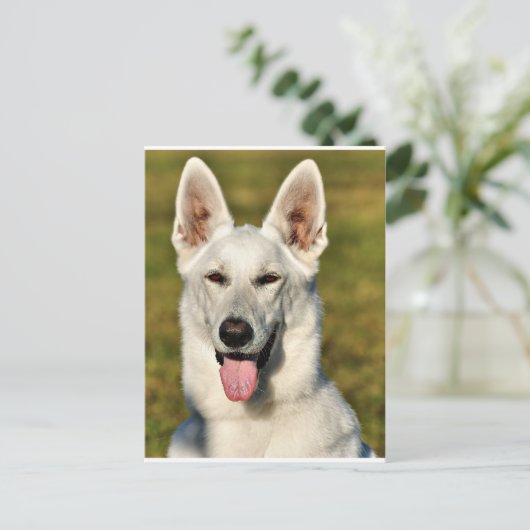 Eenvoudig als de wolf briefkaart (Staand voorkant)