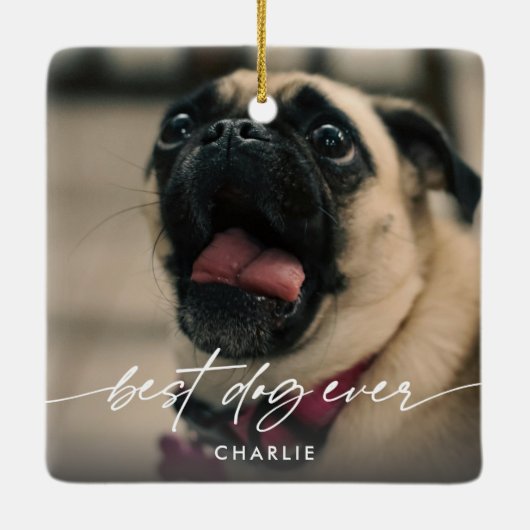 Eenvoudig Beste Hond Ooit 2 Foto Modern Script Keramisch Ornament (Achterkant)
