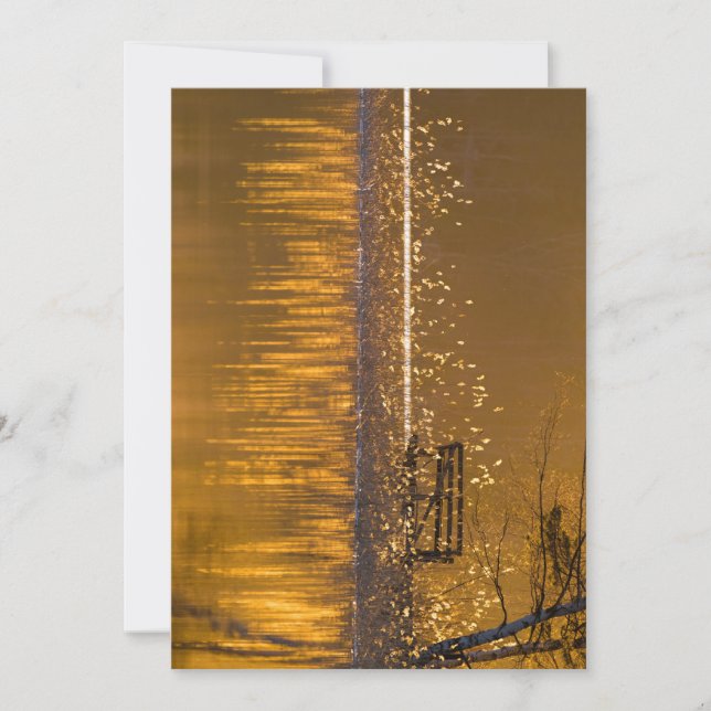 Eenvoudig bij het meer in het gouden licht (Voorkant)