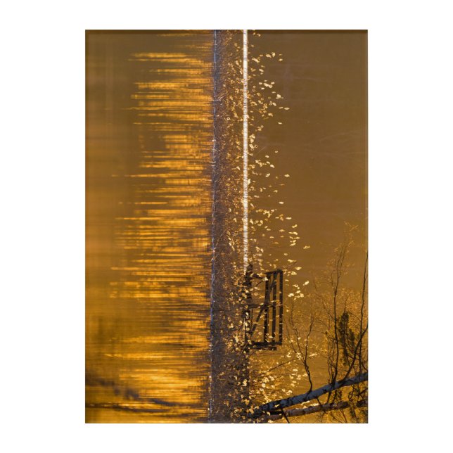 Eenvoudig bij het meer in het gouden licht acryl muurkunst (Voorkant)
