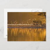 Eenvoudig bij het meer in het gouden licht briefkaart (Voorkant / Achterkant)