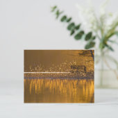 Eenvoudig bij het meer in het gouden licht briefkaart (Staand voorkant)