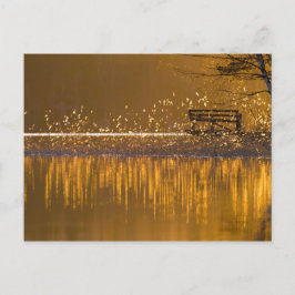 Eenvoudig bij het meer in het gouden licht briefkaart