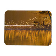 Eenvoudig bij het meer in het gouden licht